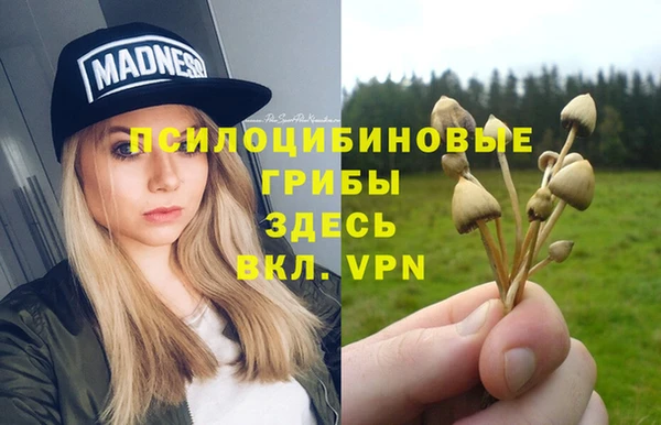 тгк Алексеевка