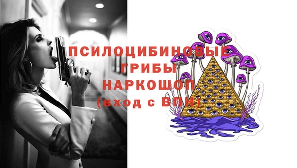 гидропоника Алзамай