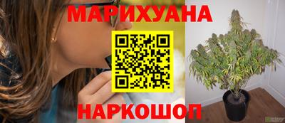 ешки Ставрополь