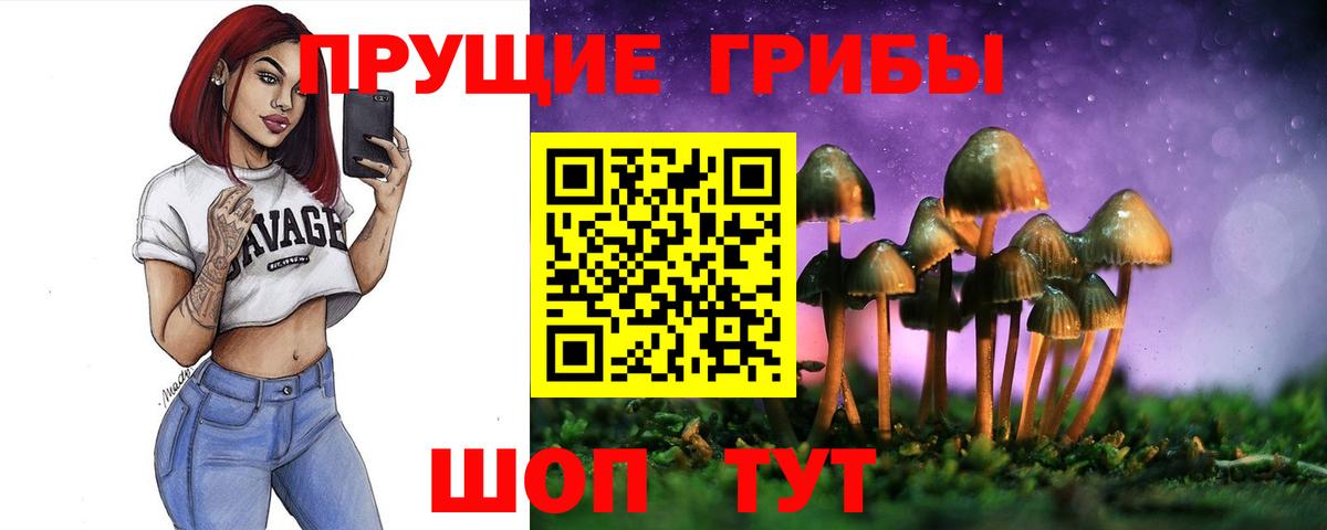 Находка  Галлюциногенные грибы Cubensis  Вход с VPN 